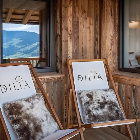 Εξοχικό σπίτι Dilia & Rio di Pusteria