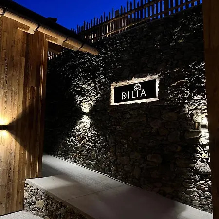 Dilia & Rio di Pusteria
